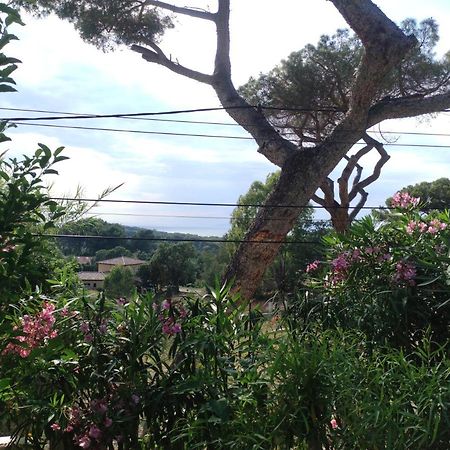 Studio Villa Le M Six-Fours-les-Plages Buitenkant foto