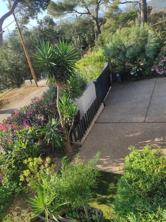 Studio Villa Le M Six-Fours-les-Plages Buitenkant foto