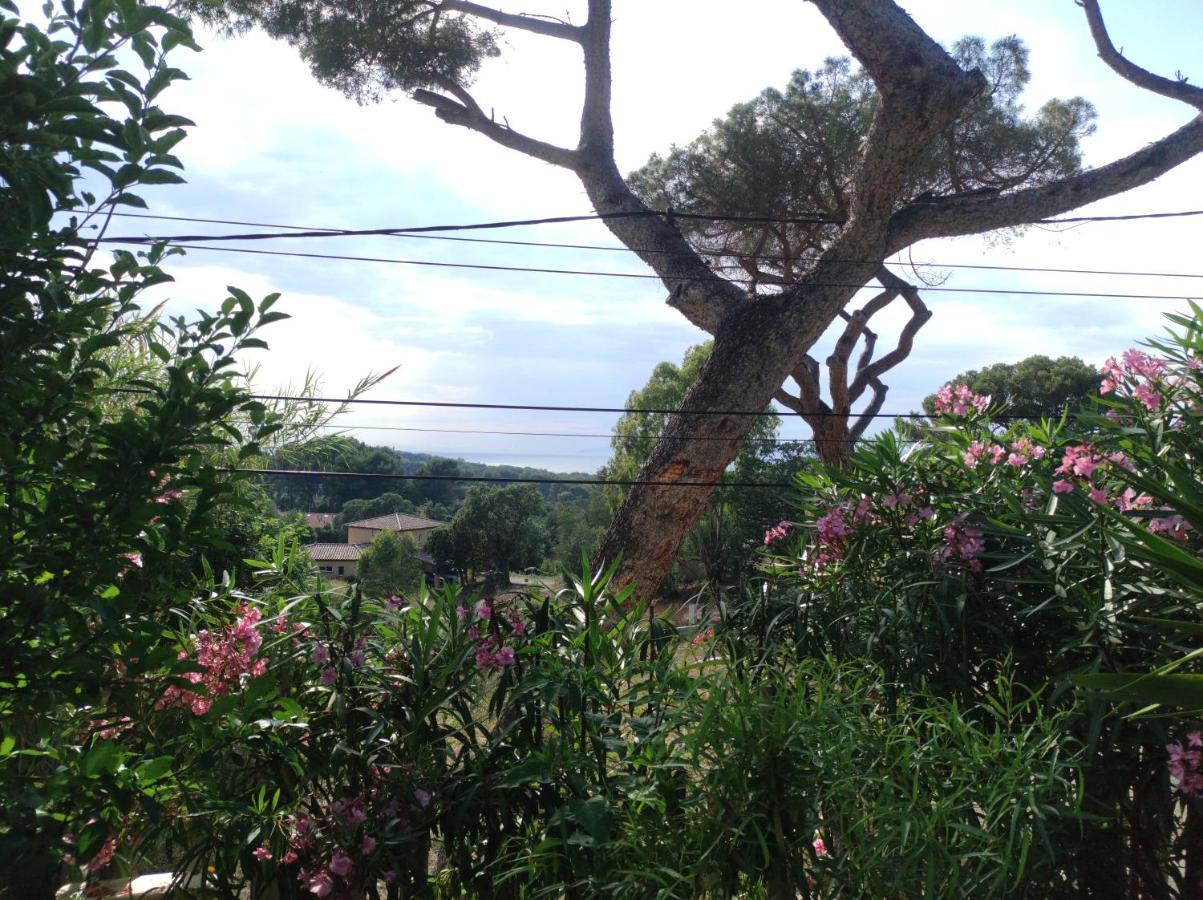 Studio Villa Le M Six-Fours-les-Plages Buitenkant foto